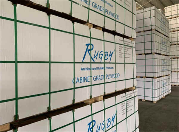 Горячий пластиковый прозрачный упаковочный ремень из полипропилена Hot Sales Plastic Clear PP Packaging Strap